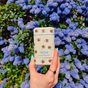 Wild Honey & Cactus Flower Bee Case Pulkdeodorant