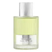 Tom Ford Beau de Jour Lõhnavesi 100ml