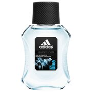 Adidas Ice Dive Odekolonn