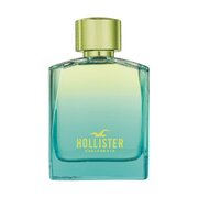 Hollister Wave 2 For Him Tualettvesi