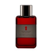 Antonio Banderas The Secret Temptation Tualettvesi – tester