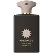 Amouage Opus XIII Silver Oud Lõhnavesi