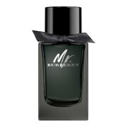 Burberry Mr.Burberry Eau de Parfum Lõhnavesi