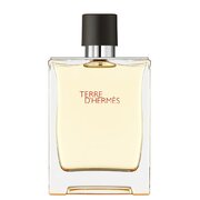 Hermes Terre D'Hermes Tualettvesi – tester