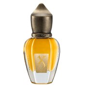 Xerjoff Tempest Perfume Extract Lõhnavesi 15ml