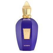 Xerjoff Accento Eau de Parfum Lõhnavesi 100ml