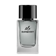 Burberry Mr. Burberry for Men Eau de toilette Tualettvesi