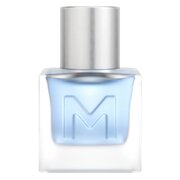 Mexx Ice Touch For Him Tualettvesi