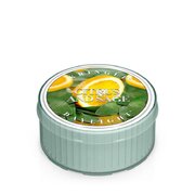Kringle Candle tsitruse ja salvei lõhnaküünal (35 g)