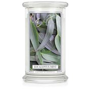 Kringle Candle Eucalyptus Mint suur 2 tahiga lõhnaküünal (624 g)