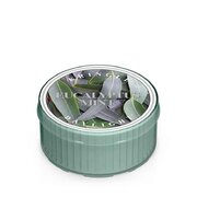 Kringle Candle Eucalyptus Mint lõhnaküünal (35 g)