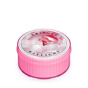 Kringle Candle Pojengi lõhnaküünal (35 g)