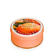 Kringle Candle Pumpkin Patch lõhnaküünal (35 g)