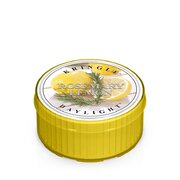 Kringle Candle Rosemary Sidruni lõhnaga küünal (35 g)