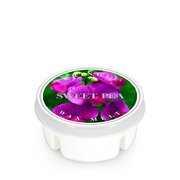 Kringle Candle Sweet Pea lõhnav vaha (35 g)