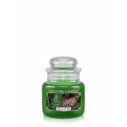 Country Candle Balsam Fir lõhnav küünal mini 1 tahk (104 g)