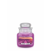 Country Candle Country Lavendel lõhnav miniküünal 1 tahk (104 g)