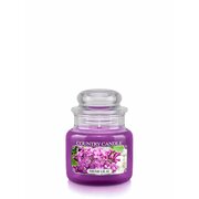 Country Candle Fresh Lilac lõhnastatud miniküünal 1-taht (104 g)