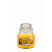 Country Candle Golden Autumn lõhnav miniküünal 1 tahk (104 g)
