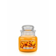 Country Candle Pumpkin Harvest lõhnav küünal mini, 1 tahk (104 g)
