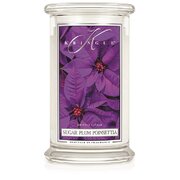 Kringle Candle Sugar Plum Poinsettia suur kahe tahiga lõhnaküünal (624 g)