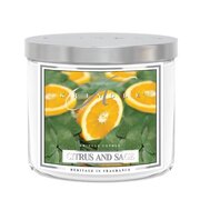 Kringle Candle TUMBLER tsitruse- ja salveilõhnaline keskmine 2-tahiküünal (411 g)