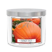 Kringle Candle TUMBLER Pumpkin Patch keskmine kahe tahiga lõhnaküünal (411 g)