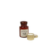 Paddywax Apothecary SEA SALT & SAGE lõhnaküünal (8oz / 226g)