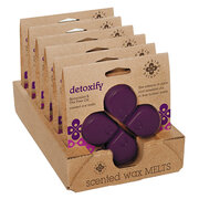 JUUREKÜÜNLAD Seeking Balance vaha DETOXIFY / DETOX