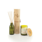 Paddywax Eco Green BLOOD ORANGE & BERGAMOT difuusor (4 untsi / 118 ml)