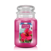 Country Candle Hibiscus suur 2 tahiga lõhnaküünal (652 g)