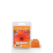 Country Candle Sunshine & Daisies lõhnav vaha (64 g)