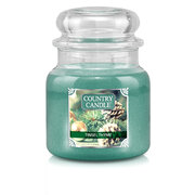 Country Candle Tinsel & Thyme keskmine kahe tahiga lõhnav küünal (453 g)