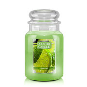 Country Candle Sädelev suur 2 tahiga lõhnaküünal (652 g)