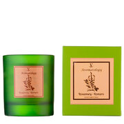 Vila Hermanos Aromathologie Rosmariinilõhnaline küünal 200g