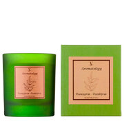 Vila Hermanos Aromathologie Eukalüpti lõhnaküünal 200g