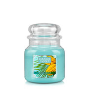 Country Candle Mango Nectar lõhnav küünal, keskmine 2-tahat (453 g)