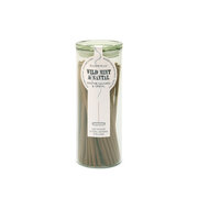 Paddywax Haze Wild Mint & Santal viirukipulgad klaaspakendis 100 tk