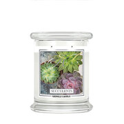 Kringle Candle Succulent lõhnaküünal keskmine 2 tahiga (411 g)