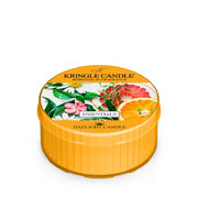 Kringle Candle Essentials lõhnaküünal lõhnaküünal (42 g)