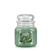 Country Candle Spiral Aloe lõhnav küünal, keskmine 2 tahiga (453 g)