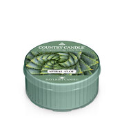 Country Candle Spiral Aloe lõhnaküünal (42 g)