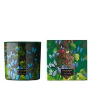 Vila Hermanos Jungletopia Butterfly lõhnaküünal 650g