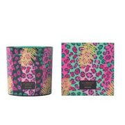 Vila Hermanos Jungletopia WILD MUSK lõhnaküünal 650g