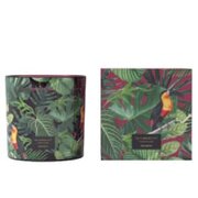 Vila Hermanos Jungletopia SPICY CYPRIOL lõhnaküünal 650g