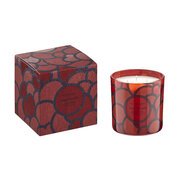 Vila Hermanos '70s Poppy & Marigold lõhnaküünal 500g