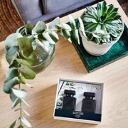 ipuro Essentials Black Bamboo 2x50ml difuusor kinkekarbis