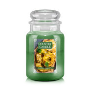 Country Candle Charred Pineapple suur kahe tahiga lõhnav küünal (737 g)