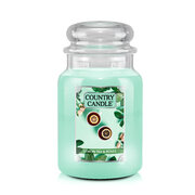Country Candle Lemon Tea & Roses suur kahe tahiga lõhnaküünal (737 g)