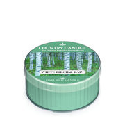 Country Candle Valge kase ja vihma lõhnaga küünal (42g)